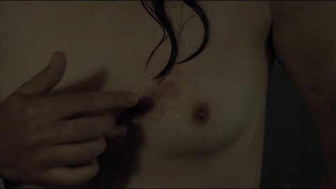 Sonia Suhl - Fucking Scenes in When Animals Dream (2014)